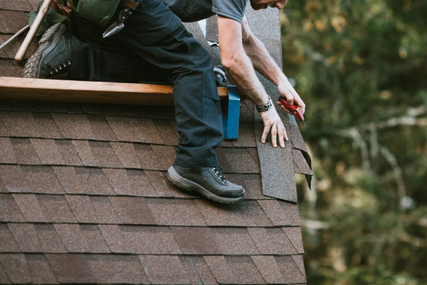 Roof Gutter Cleaning in Rochester Hills, MI